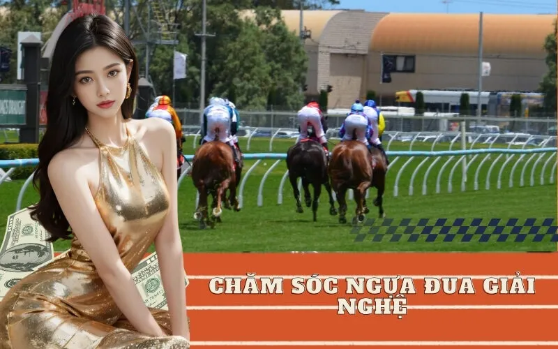 Chăm Sóc Ngựa Đua Giải Nghệ
