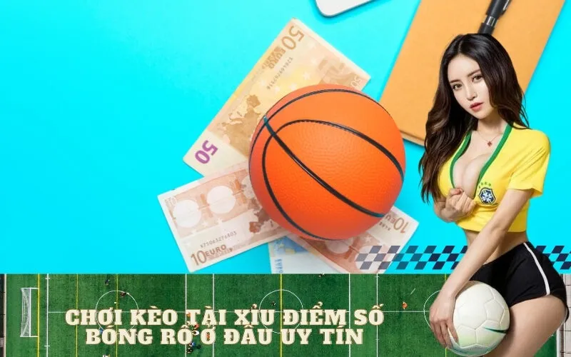 Chơi Kèo Tài Xỉu Điểm Số Bóng Rổ Ở Đâu Uy Tín