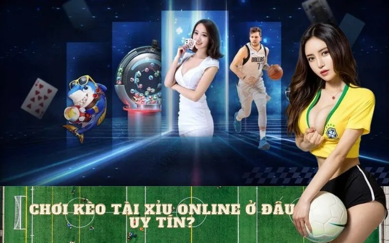 Chơi Kèo Tài Xỉu Online Ở Đâu Uy Tín