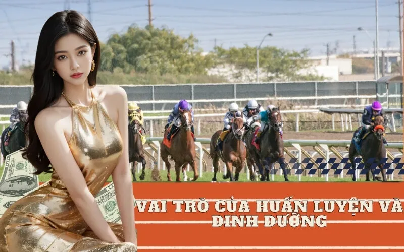 Vai Trò Của Huấn Luyện và Dinh Dưỡng